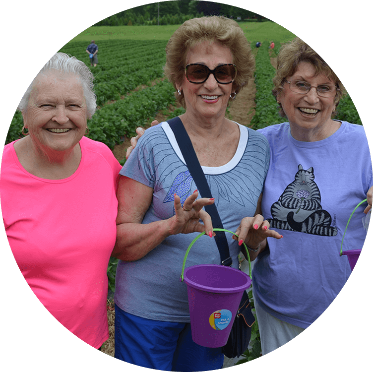 Senior women picking strawberries at a senior living event